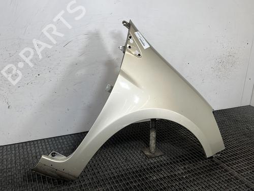 Right front fenders RENAULT CLIO III (BR0/1, CR0/1) 1.5 dCi (BR17, CR17) | BP29841693C42