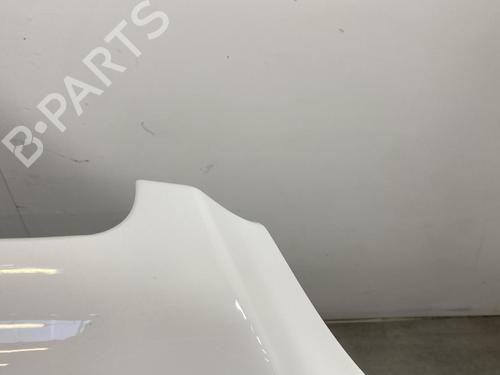 Hood MERCEDES-BENZ SPRINTER 3,5-t Van (B906) 311 CDI (906.631, 906.633, 906.635, 906.637) | BP30129381C1