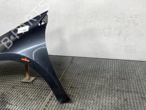 Left front fenders RENAULT LAGUNA III (BT0/1) 2.0 dCi (BT01, BT08, BT09, BT0E, BT0K, BT12, BT1C, BT1D,... | BP21961656C41 