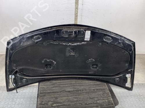 Hood RENAULT CLIO III (BR0/1, CR0/1) 1.5 dCi | BP26236419C1 