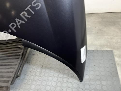 Capot CITROËN C8 (EA_, EB_) 2.0 HDi 165 | BP30900361C1 