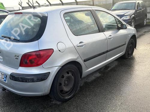 Hinge/Door check strap PEUGEOT 307 (3A/C) 2.0 HDi 110 | BP19956831C146 