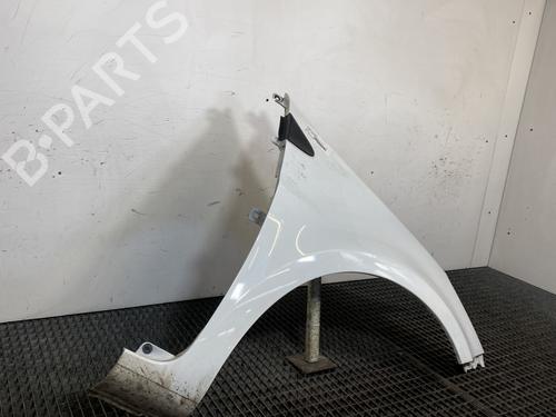Right front fenders RENAULT CLIO III (BR0/1, CR0/1) 1.5 dCi | BP21378570C42 