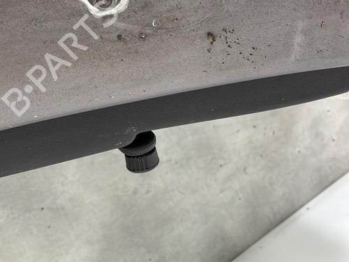 Right rear door RENAULT CLIO III (BR0/1, CR0/1) 1.5 dCi (C/BR0G, C/BR1G) | BP29329275C5 
