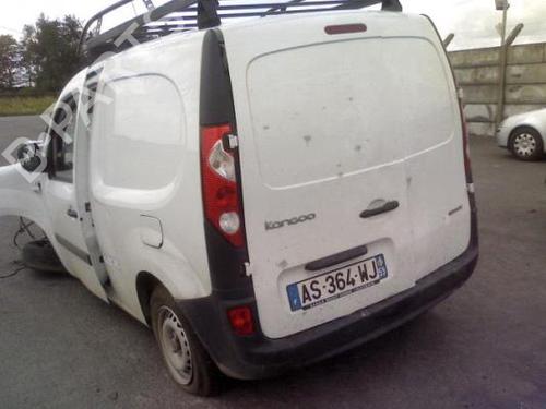 Hinge/Door check strap RENAULT KANGOO Express (FW0/1_)  | BP19986496C146 