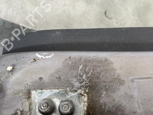 Left rear door RENAULT CLIO III (BR0/1, CR0/1) 1.5 dCi (C/BR0G, C/BR1G) | BP29339903C4 
