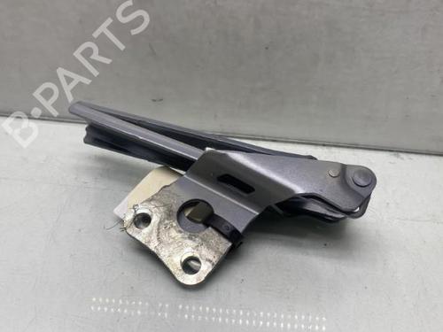 Used Hinge/Door check strap SKODA YETI (5L) 2.0 TDI (110 hp) 19952088