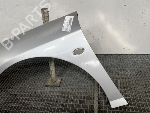 Left front fenders PEUGEOT 407 SW (6E_, 6D_) 1.6 HDi 110 | BP29749019C41 