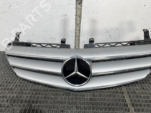 Used Grille MERCEDES-BENZ R-CLASS (W251, V251) R 320 CDI 4-matic (251.022, 251.122) (224 hp) 30129347