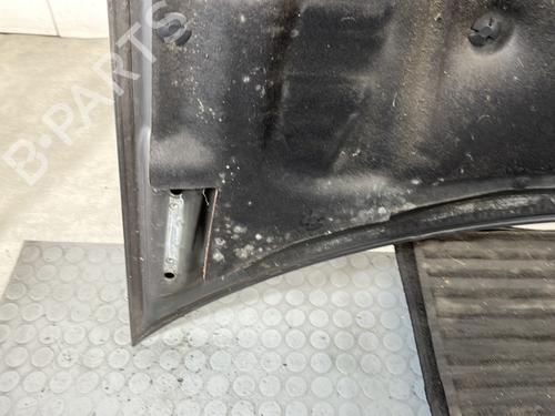 Hood CHRYSLER VOYAGER IV (RG, RS) 2.5 CRD | BP30338125C1 