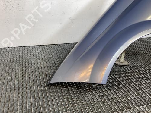 Left front fenders RENAULT MEGANE II Coupé-Cabriolet (EM0/1_) 1.5 dCi (EM1E) | BP22179988C41 