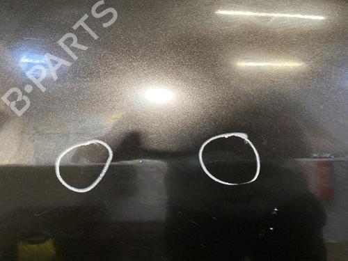 Used Left rear door Left rear door RENAULT MODUS / GRAND MODUS (F/JP0_) 1.2 (JP0C, JP0K, FP0C, FP0K, FP0P, JP0P, JP0T) (75 hp) 21957015 21957015