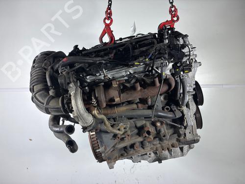 Engine KIA CEE'D (JD) 1.4 CRDi 90 | BP38570398M1 - Image 2