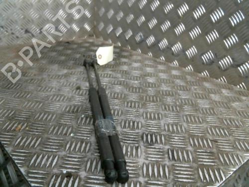 Used Tailgate lift support SKODA FABIA II (542) 1.6 TDI (75 hp) 20031506