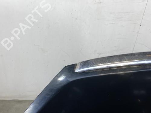 Panser FORD FOCUS C-MAX (DM2)  | BP21961172C1 