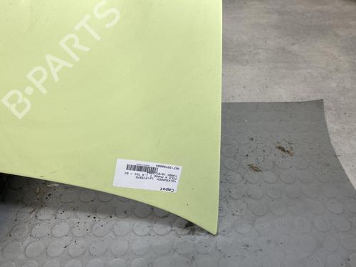 Used Hood Hood VW POLO IV (9N_, 9A_) 1.4 TDI (75 hp) 20185732 20185732