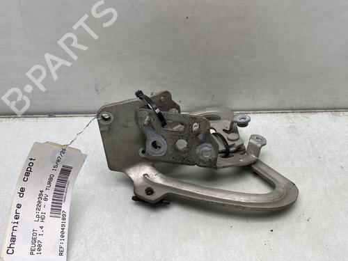 hingedoor-check-strap-peugeot-1007-km_-2005-23765403 main image