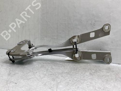 Hinge/Door check strap OPEL ASTRA K (B16)  | BP19955419C146 