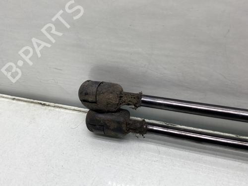 Tailgate lift support RENAULT SCÉNIC II (JM0/1_) 1.5 dCi (JM1E, JM16) | BP20704213C138 