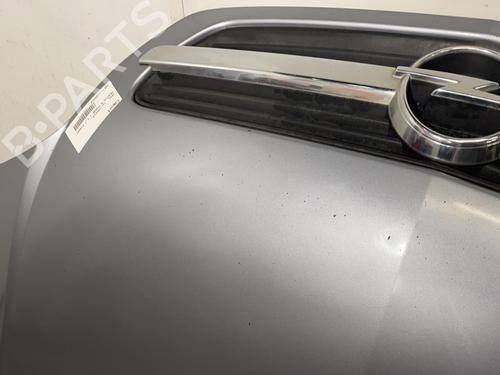 Hood OPEL MERIVA A MPV (X03) 1.7 CDTI (E75) | BP21955370C1 