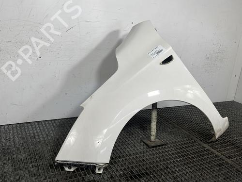 Left front fenders HYUNDAI i20 I (PB, PBT) 1.1 CRDi | BP27252037C41 