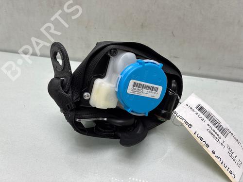 Used Front left belt tensioner Front left belt tensioner CITROËN C1 II (PA_, PS_) 1.0 VTi 68 (69 hp) 36307104 36307104