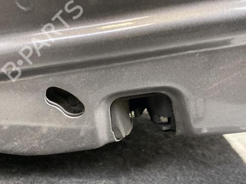 Right rear door RENAULT CLIO III (BR0/1, CR0/1)  | BP21957730C5 