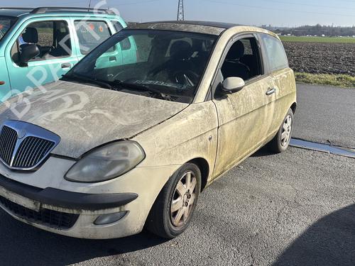 Brugte LANCIA YPSILON (843_) 1.2 (843.AXL1A) (69 hp) 4256977
