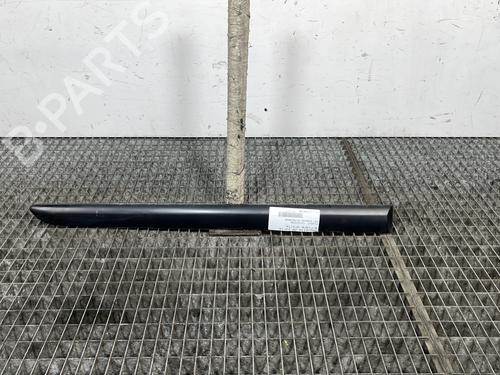 Used Door moulding trim PEUGEOT 207 (WA_, WC_) 1.4 (73 hp) 27632106
