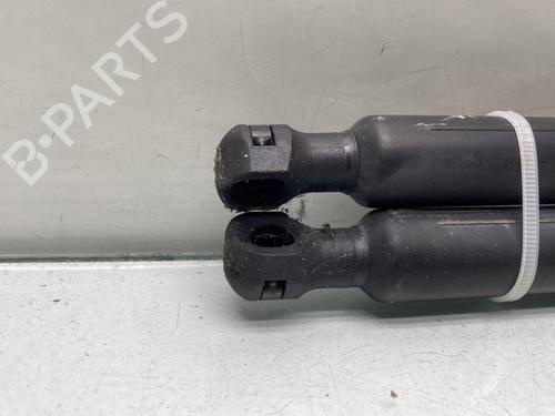 Tailgate lift support PEUGEOT 2008 I (CU_) 1.2 VTi | BP29897603C138