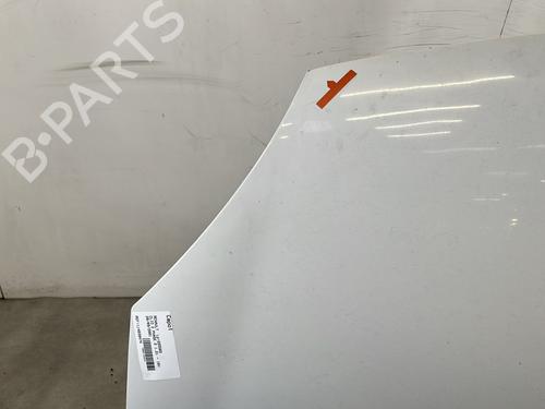 Hood RENAULT CLIO II (BB_, CB_) 1.2 16V (BB05, BB0W, BB11, BB27, BB2T, BB2U, BB2V, CB05,... | BP30171592C1 