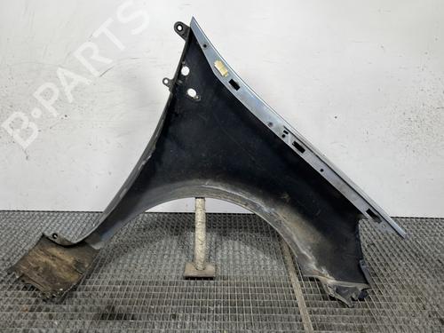 Left front fenders RENAULT CLIO III (BR0/1, CR0/1) 1.6 16V (BR09, BR0T, CR09, CR0T) | BP29114918C41 