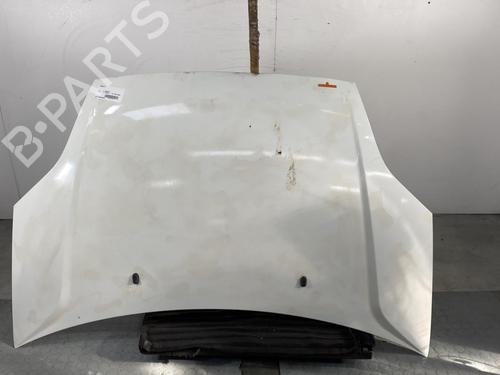 Hood FORD FIESTA V (JH_, JD_) 1.4 TDCi | BP21960986C1 