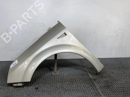 Used Left front fenders RENAULT SCÉNIC II (JM0/1_) 1.5 dCi (JM1E, JM16) (106 hp) 28601252