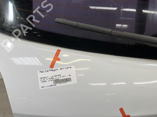 Tailgate RENAULT CLIO III (BR0/1, CR0/1) 1.5 dCi (C/BR0G, C/BR1G) | BP29995775C6 