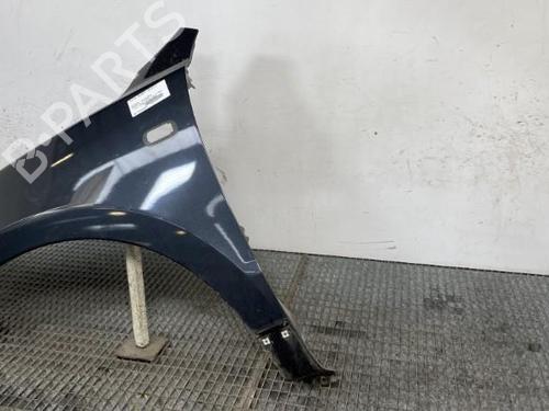 Right front fenders HYUNDAI SANTA FÉ II (CM) 2.2 CRDi | BP19960525C42