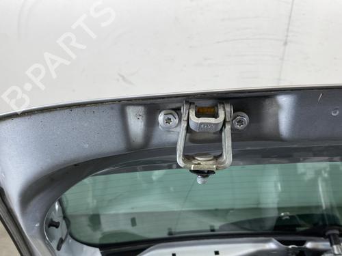 Used Tailgate Tailgate VW POLO V (6R1, 6C1) 1.6 TDI (90 hp) 24440271 24440271