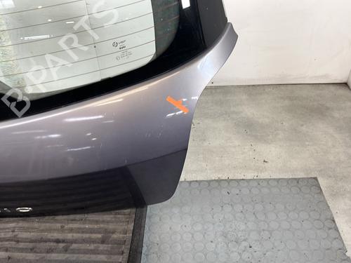Tailgate RENAULT CLIO III (BR0/1, CR0/1) 1.5 dCi (BR17, CR17) | BP28475732C6
