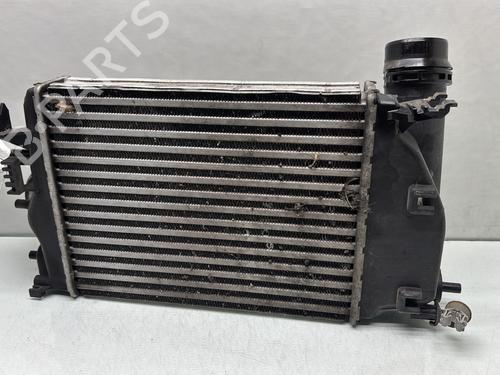 Intercooler RENAULT MEGANE IV Hatchback (B9A/M/N_) 1.2 TCe 130 (B9MR) | BP29507854M30 