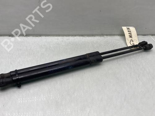 Used Tailgate lift support RENAULT MEGANE III Hatchback (BZ0/1_, B3_) 1.5 dCi (BZ09, BZ0D, BZ1W, BZ29, BZ14) (110 hp) 24428148