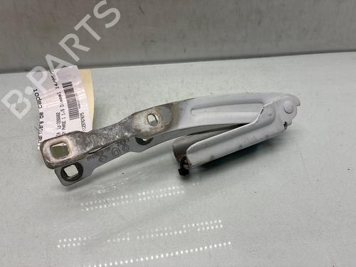 Hinge/Door check strap DACIA LODGY (JS_) 1.5 dCi | BP37648719C146 - Image 3