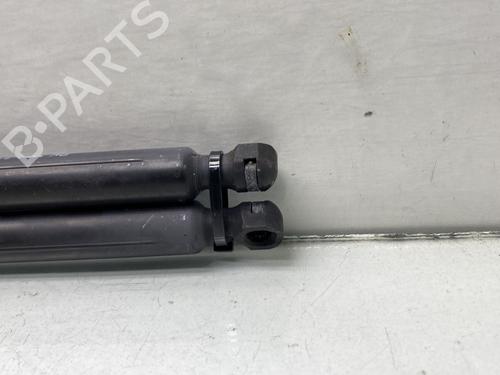Tailgate lift support PEUGEOT 308 SW II (LC_, LJ_, LR_, LX_, L4_) 1.6 BlueHDi 120 | BP22319347C138 