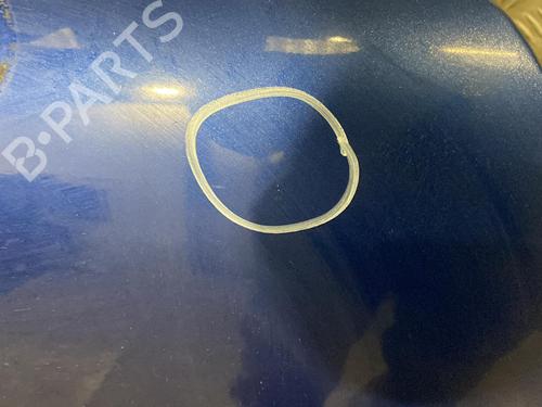 Right front door MINI MINI (R50, R53)  | BP20011146C3 