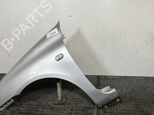 Left front fenders RENAULT CLIO II (BB_, CB_) 1.5 dCi (B/CB07) | BP30169007C41