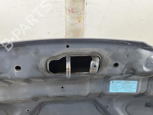 Hood NISSAN MICRA III (K12) 1.2 16V | BP29841646C1 