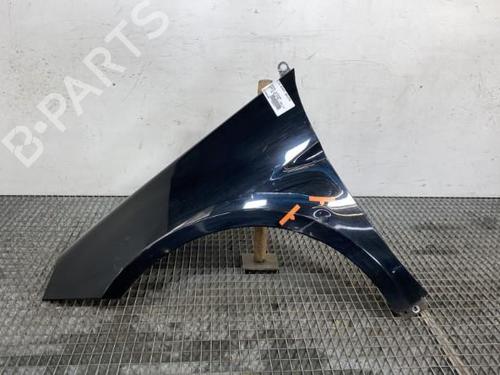 Used Left front fenders MERCEDES-BENZ B-CLASS Sports Tourer (W245) B 200 CDI (245.208) (140 hp) 21962464