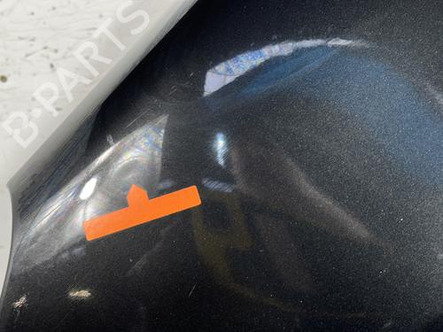 Left front fenders PEUGEOT 1007 (KM_) 1.4 HDi | BP29968514C41