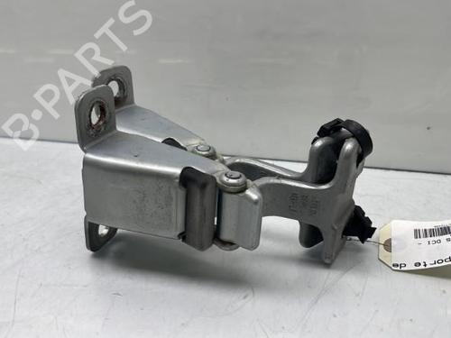 Used Hinge/Door check strap Hinge/Door check strap RENAULT KANGOO Express (FW0/1_) 1.5 dCi 70 (FW0A, KW0V) (68 hp) 19988145 19988145
