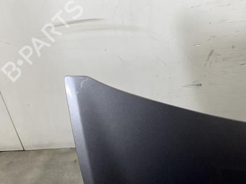 Hood RENAULT CLIO III (BR0/1, CR0/1) 1.5 dCi (C/BR0G, C/BR1G) | BP30720029C1