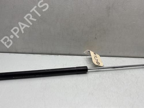 Used Hood lift support DACIA SANDERO II TCe 90 (B8M1, B8MA, B8AC) (90 hp) 29841667
